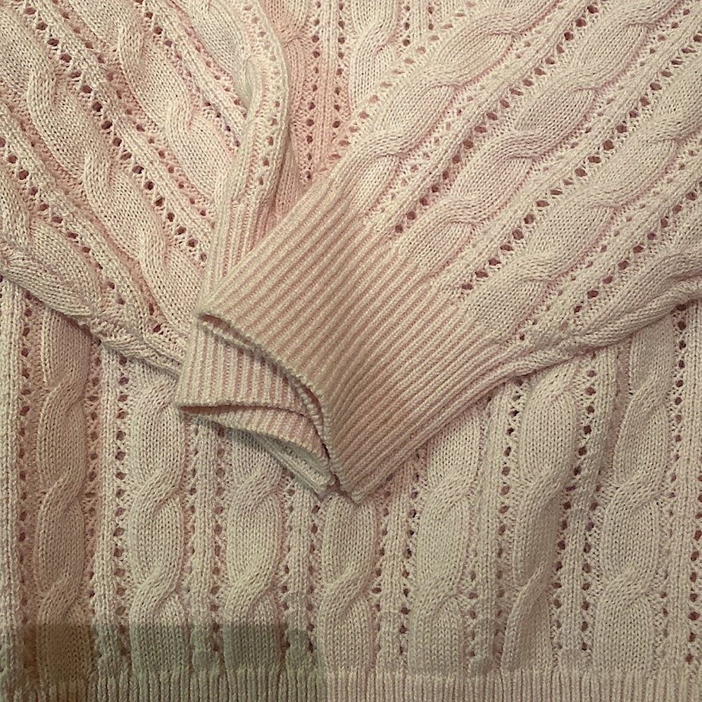 NWOT GORGEOUS POINTELLE SWEATER WILFRED - Picture 2 of 3